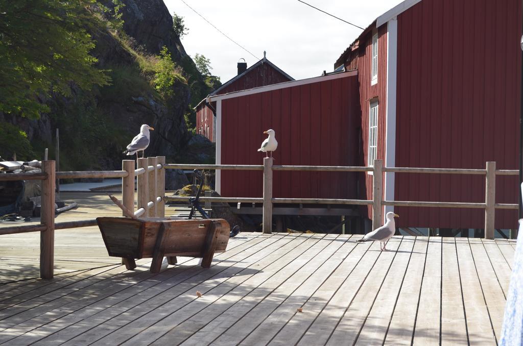Lofoten Cabins - Sund Sund  ภายนอก รูปภาพ